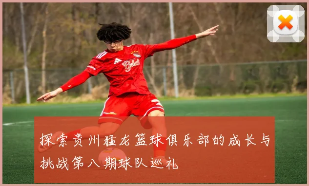 探索贵州猛龙篮球俱乐部的成长与挑战第八期球队巡礼