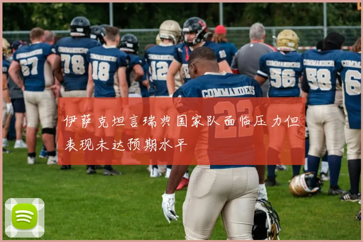 伊萨克坦言瑞典国家队面临压力但表现未达预期水平