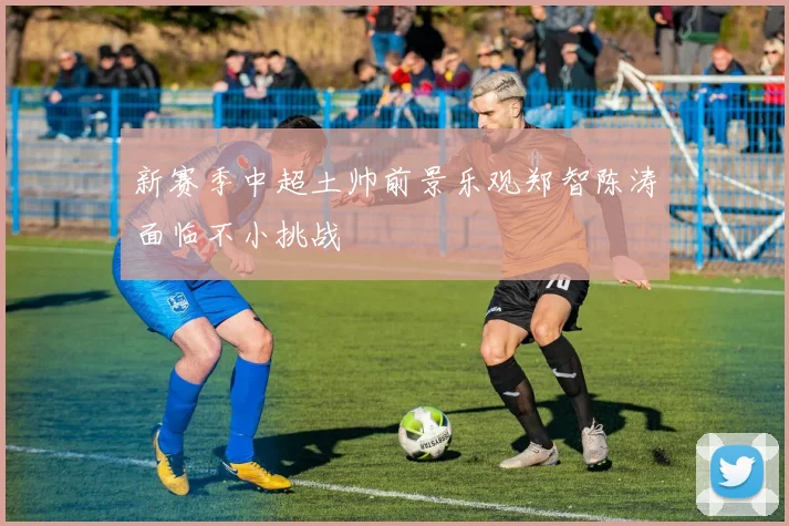 新赛季中超土帅前景乐观郑智陈涛面临不小挑战