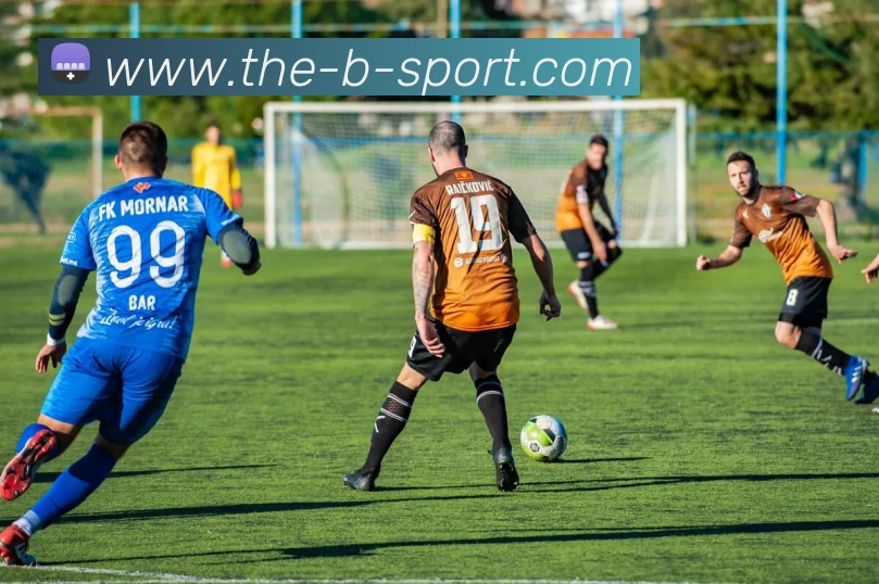 B体育平台生态图